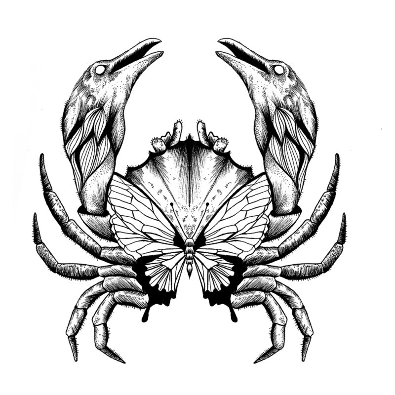 collab Nuee et Dit Cheyenne - tee-shirt enfant tatoo crabe