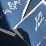 Atelier Cyanotype