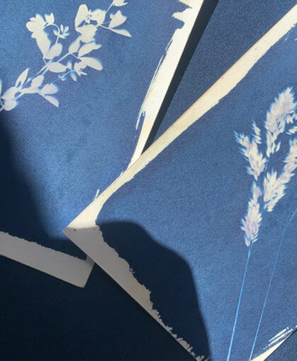 Atelier Cyanotype